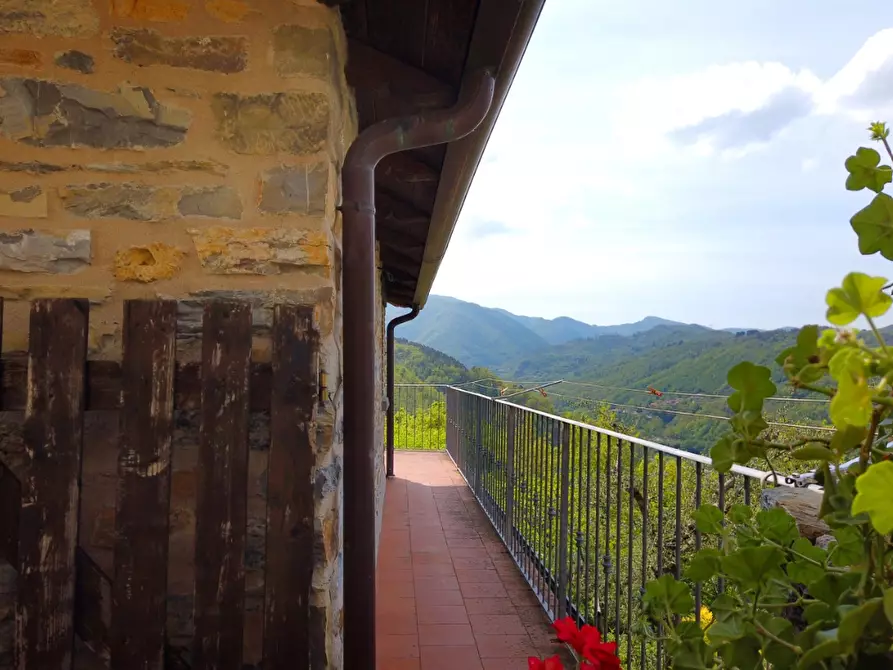 Immagine 21 di Casa colonica in vendita  a Fivizzano