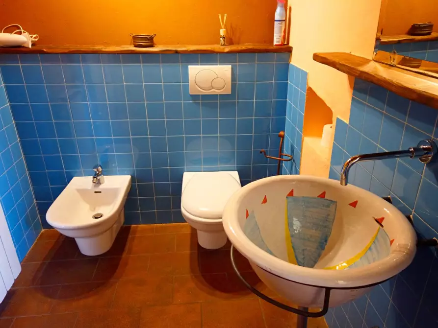 Immagine 42 di Casa colonica in vendita  a Fivizzano