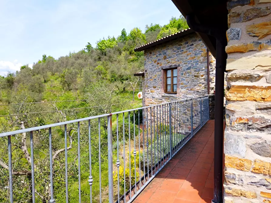 Immagine 24 di Casa colonica in vendita  a Fivizzano