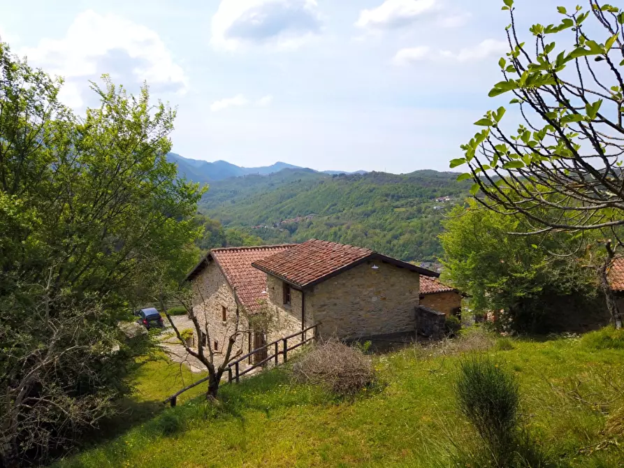 Immagine 11 di Casa colonica in vendita  a Fivizzano