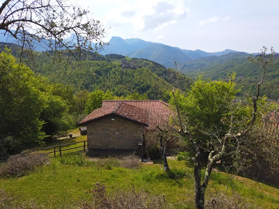 Immagine 12 di Casa colonica in vendita  a Fivizzano