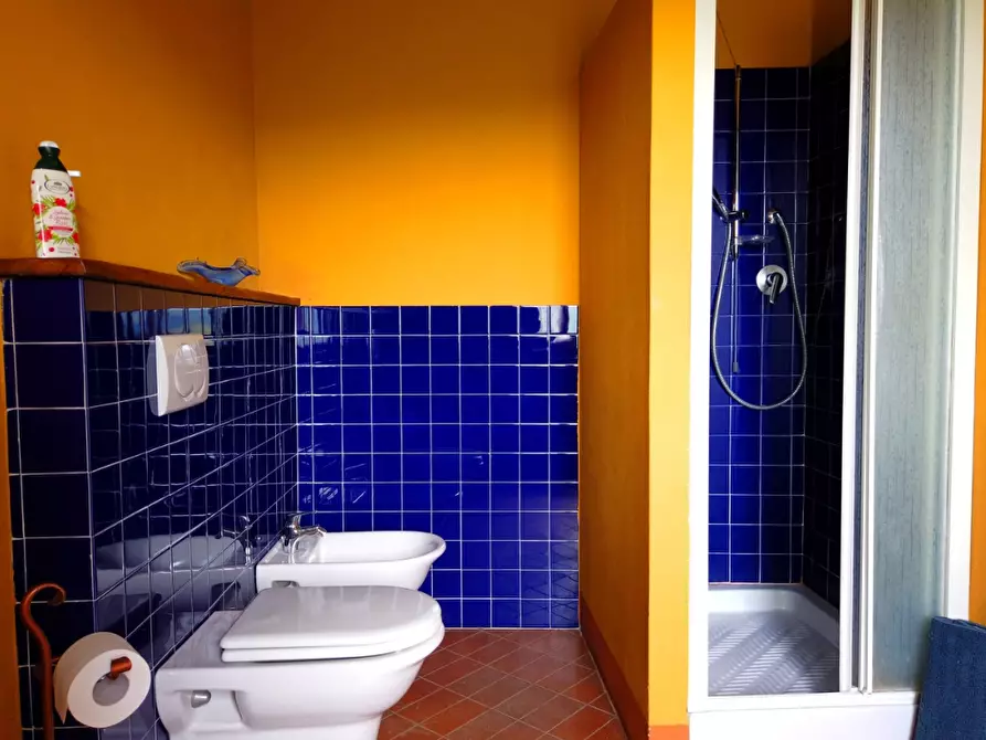 Immagine 41 di Casa colonica in vendita  a Fivizzano