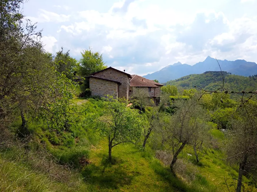 Immagine 14 di Casa colonica in vendita  a Fivizzano