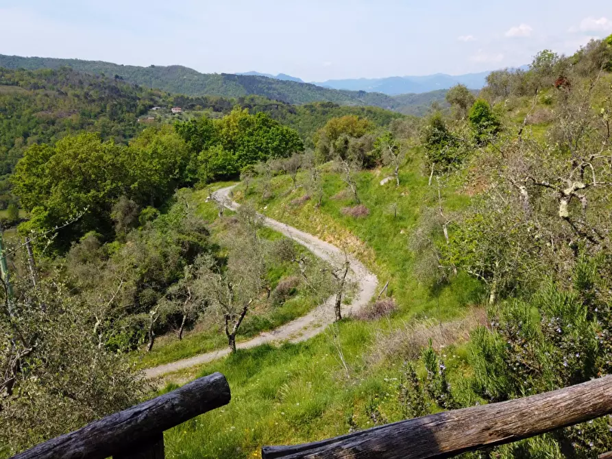Immagine 7 di Casa colonica in vendita  a Fivizzano