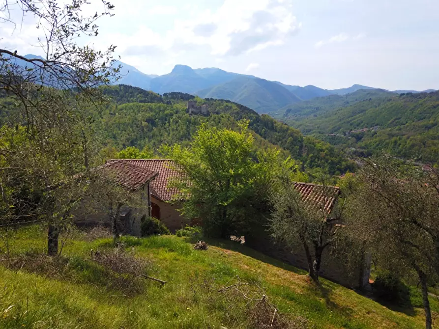 Immagine 13 di Casa colonica in vendita  a Fivizzano