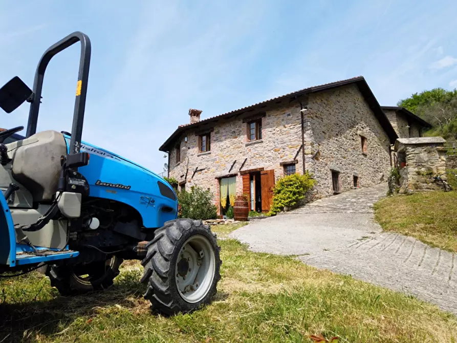 Immagine 3 di Casa colonica in vendita  a Fivizzano