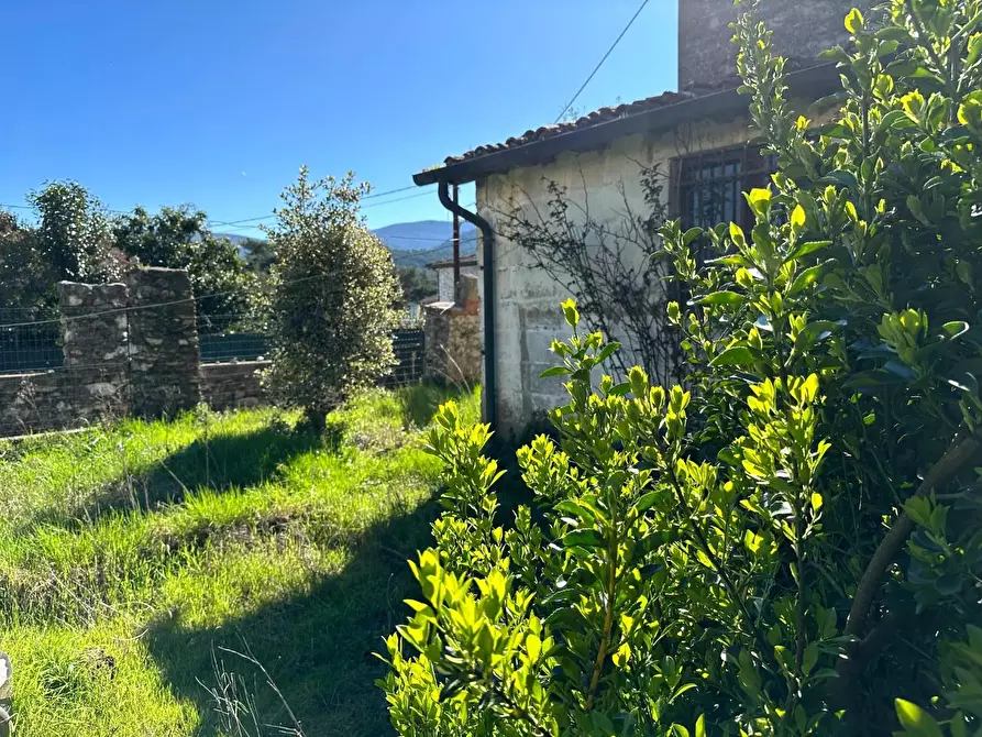 Immagine 25 di Terratetto in vendita  a Lucca