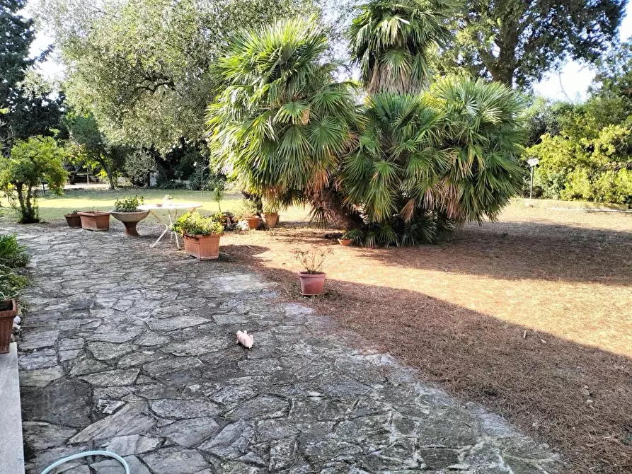 Immagine 16 di Villa in vendita  a Livorno