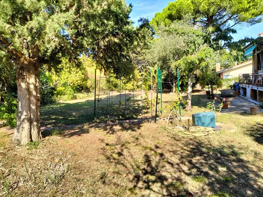 Immagine 18 di Villa in vendita  a Livorno