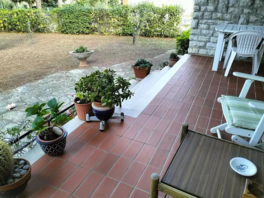 Immagine 5 di Villa in vendita  a Livorno