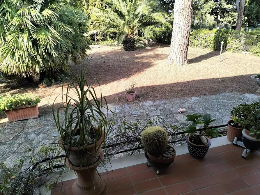 Immagine 13 di Villa in vendita  a Livorno