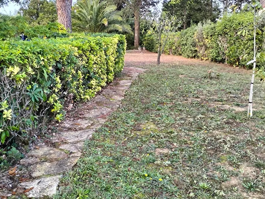 Immagine 17 di Villa in vendita  a Livorno