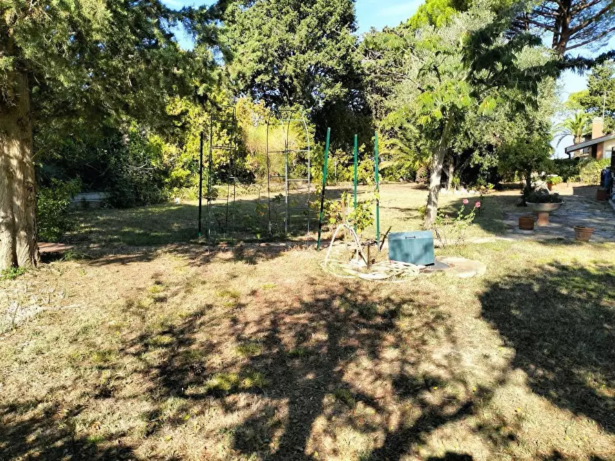 Immagine 21 di Villa in vendita  a Livorno