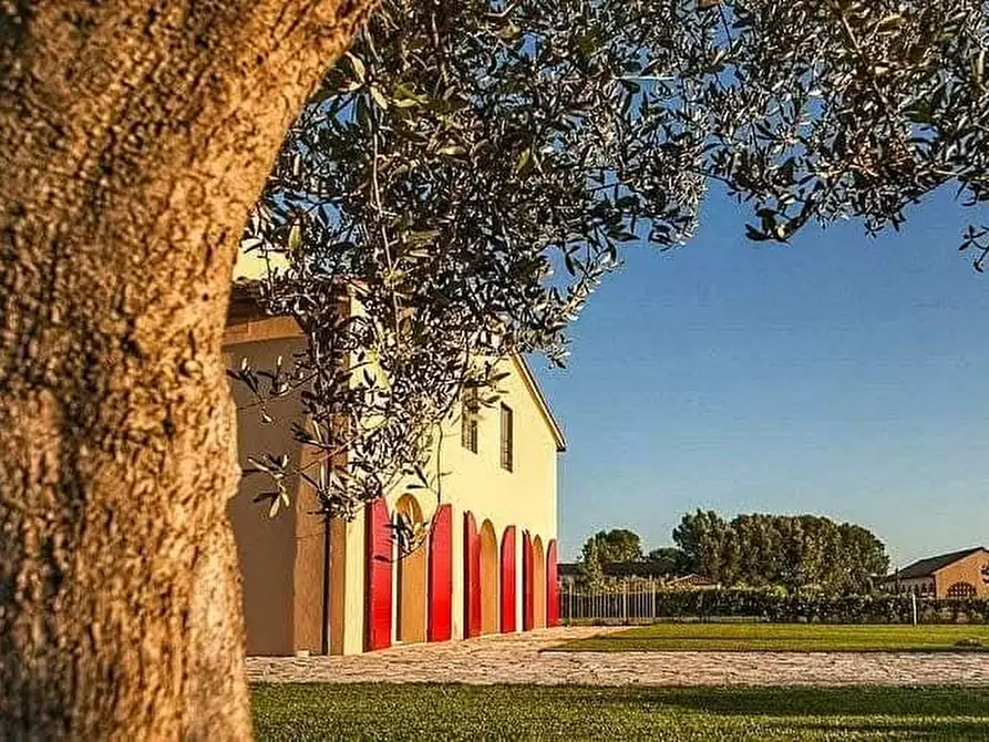 Immagine 13 di Rustico / casale in vendita  a San Giuliano Terme