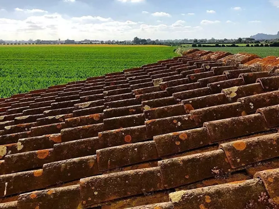 Immagine 12 di Rustico / casale in vendita  a San Giuliano Terme