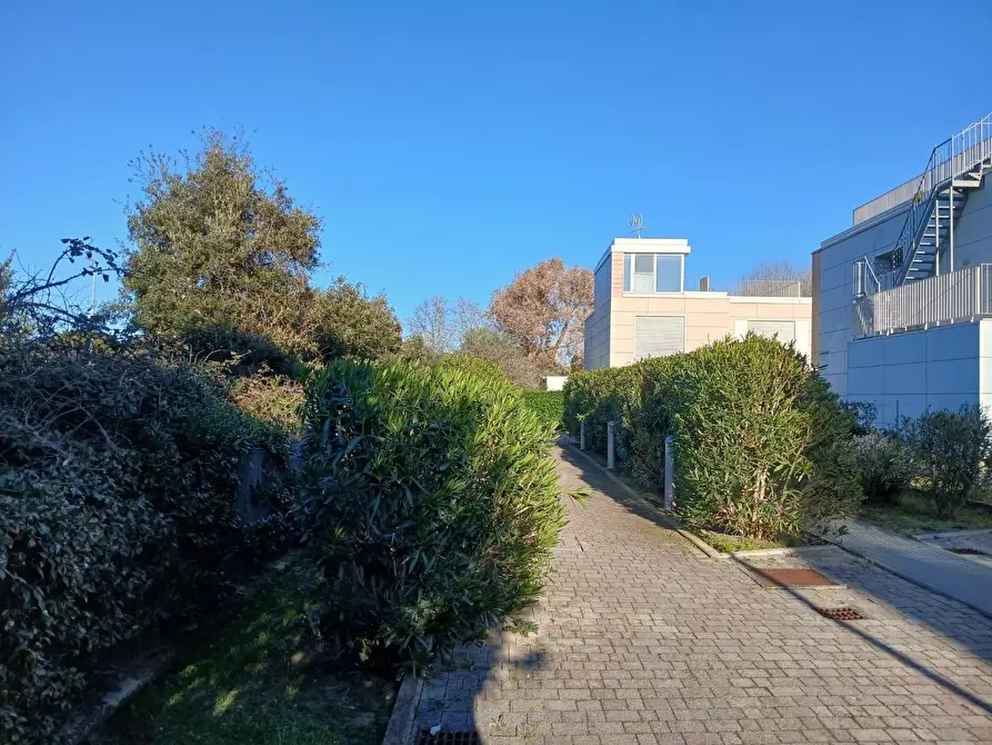 Immagine 43 di Appartamento in vendita  a Pisa