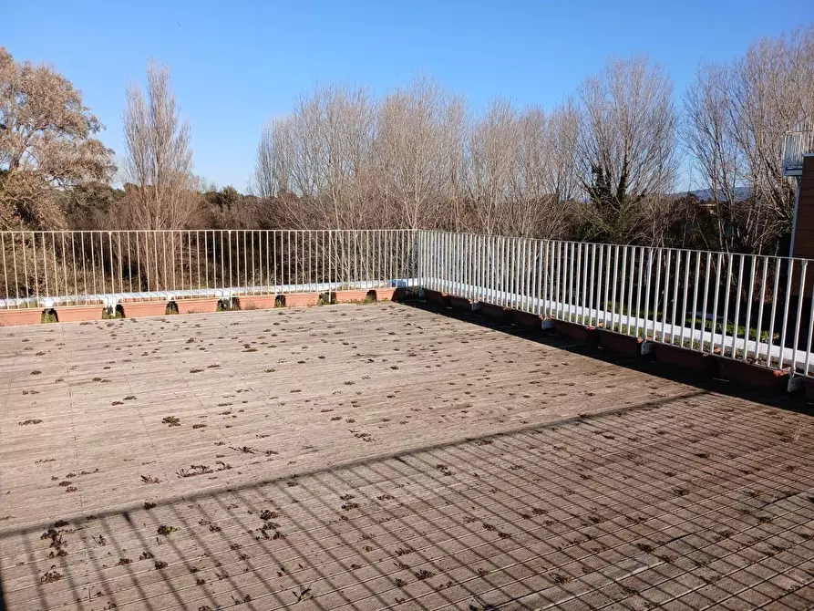 Immagine 31 di Appartamento in vendita  a Pisa