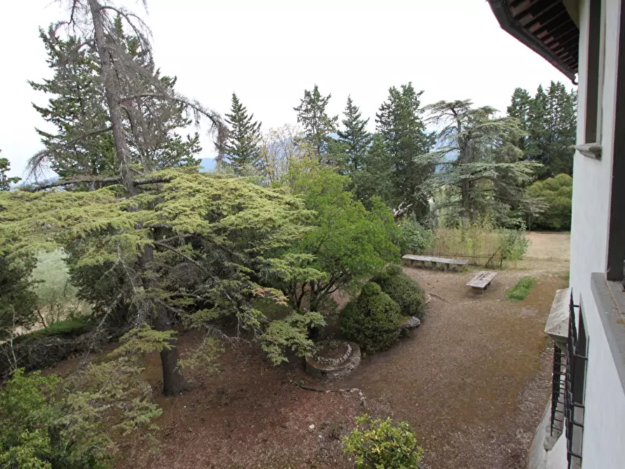 Immagine 4 di Villa in vendita  a Rignano Sull'arno