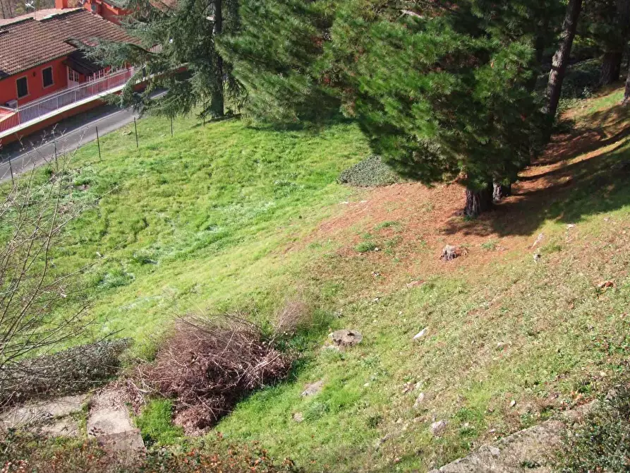 Immagine 4 di Villa in vendita  a Dicomano