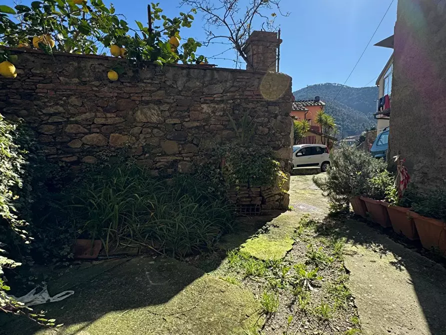 Immagine 21 di Porzione di casa in vendita  a Capannori