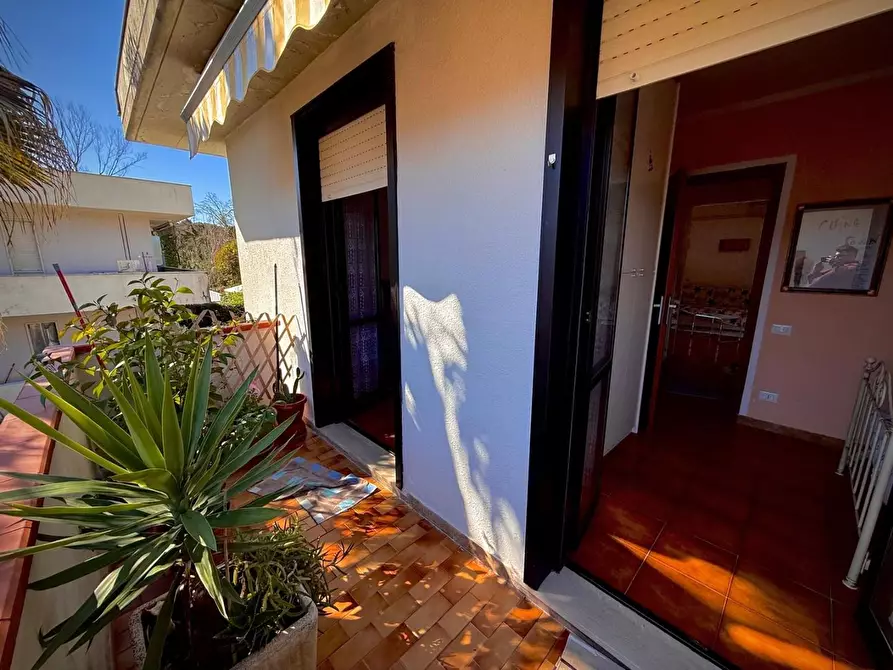 Immagine 11 di Appartamento in vendita  a Massa