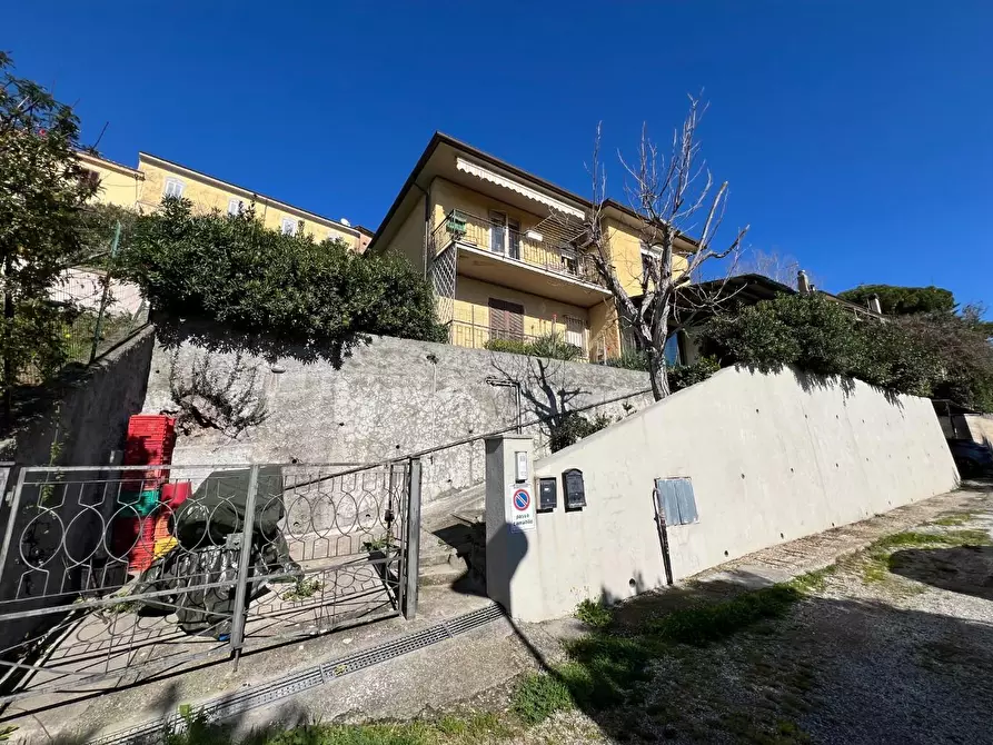 Immagine 2 di Casa bifamiliare in vendita  a Castagneto Carducci