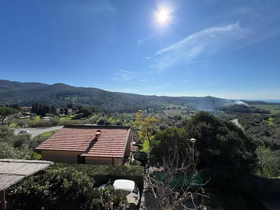 Immagine 27 di Casa bifamiliare in vendita  a Castagneto Carducci