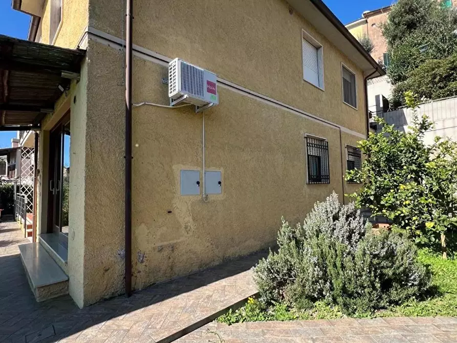 Immagine 21 di Casa bifamiliare in vendita  a Castagneto Carducci