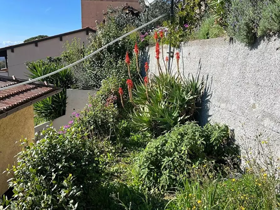 Immagine 49 di Casa bifamiliare in vendita  a Castagneto Carducci