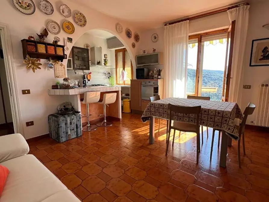 Immagine 31 di Casa bifamiliare in vendita  a Castagneto Carducci