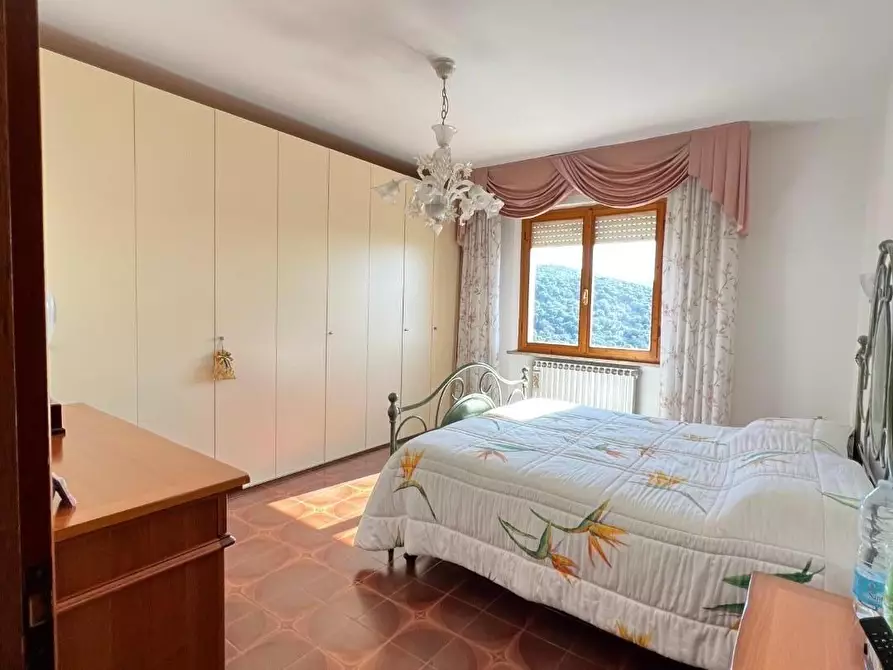 Immagine 41 di Casa bifamiliare in vendita  a Castagneto Carducci