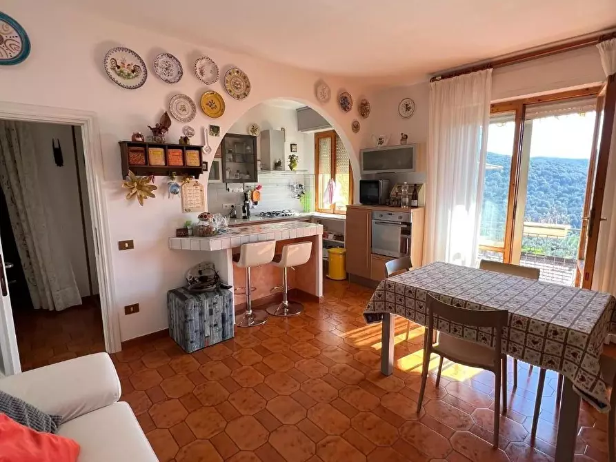 Immagine 30 di Casa bifamiliare in vendita  a Castagneto Carducci