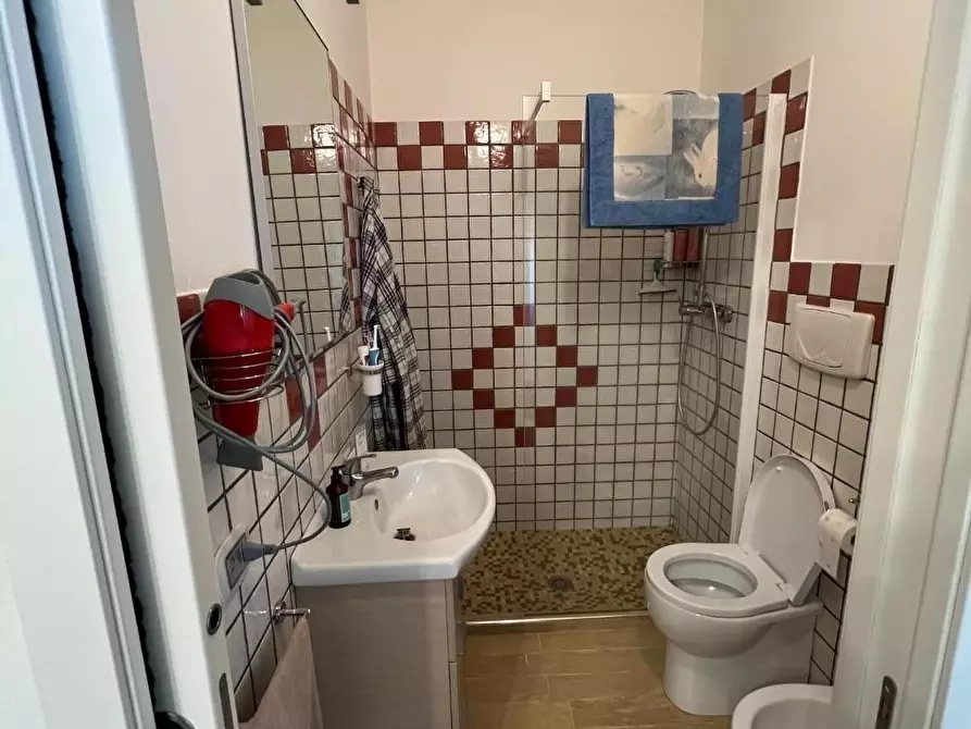 Immagine 13 di Casa bifamiliare in vendita  a Castagneto Carducci