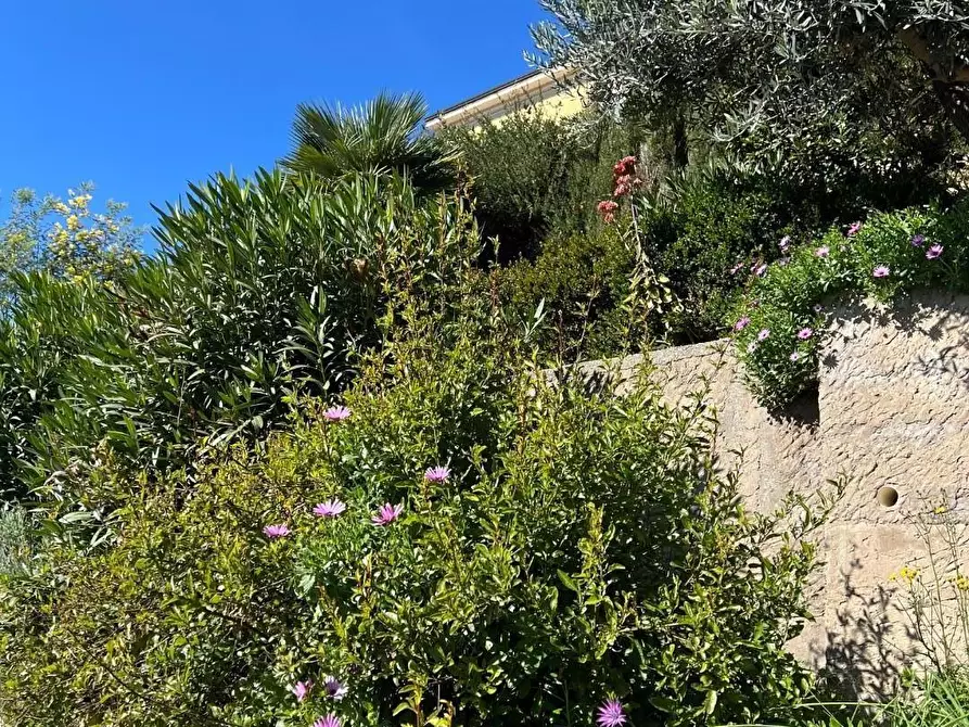 Immagine 50 di Casa bifamiliare in vendita  a Castagneto Carducci