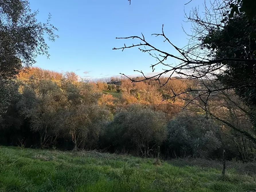 Immagine 13 di Casa semindipendente in vendita  a Capannori