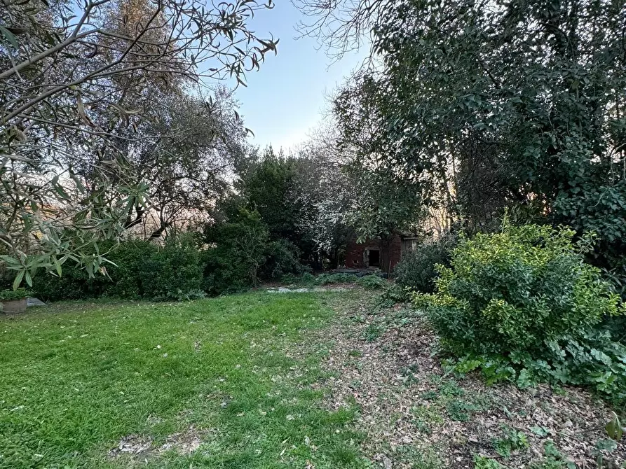 Immagine 14 di Casa semindipendente in vendita  a Capannori