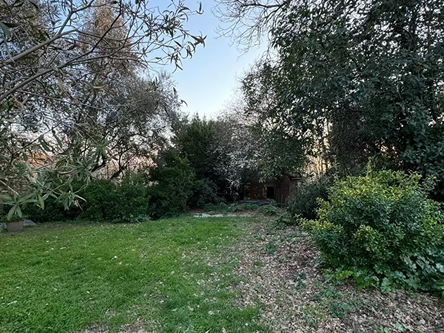 Immagine 22 di Casa semindipendente in vendita  a Capannori