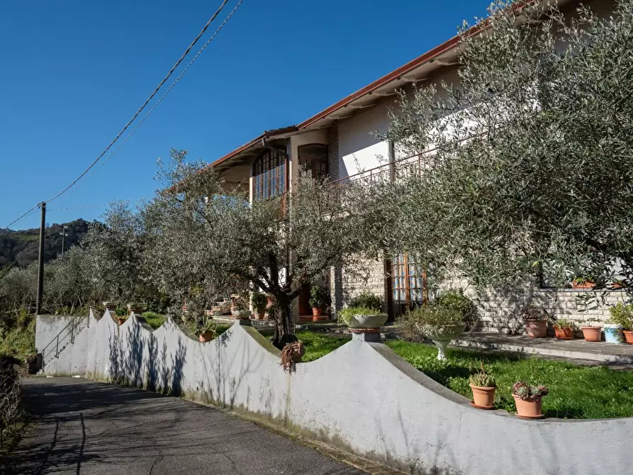 Immagine 19 di Villa in vendita  a Calice Al Cornoviglio