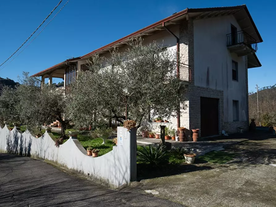 Immagine 18 di Villa in vendita  a Calice Al Cornoviglio
