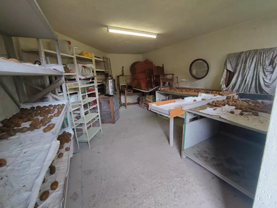 Immagine 17 di Villa in vendita  a Calice Al Cornoviglio