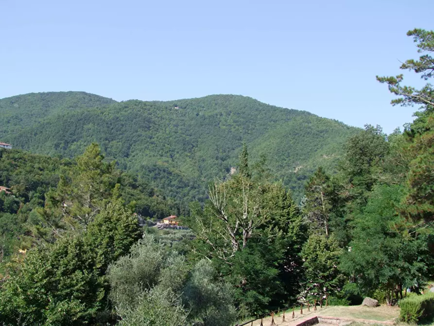 Immagine 5 di Villa in vendita  a Londa