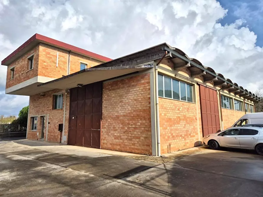 Immagine 1 di Attività artigianale in vendita  a Castelfranco Di Sotto