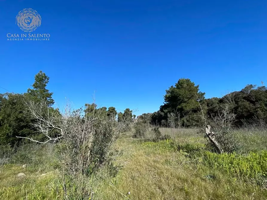 Immagine 36 di Attività artigianale in vendita  a Presicce