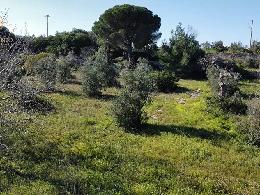 Immagine 46 di Attività artigianale in vendita  a Presicce