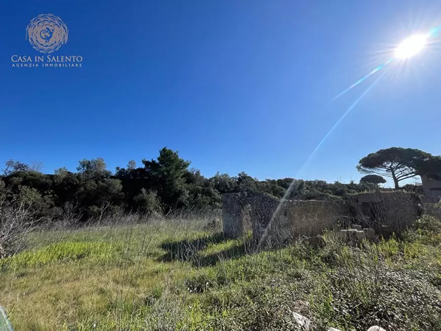 Immagine 34 di Attività artigianale in vendita  a Presicce