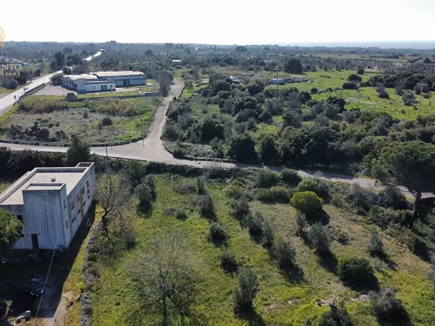 Immagine 45 di Attività artigianale in vendita  a Presicce