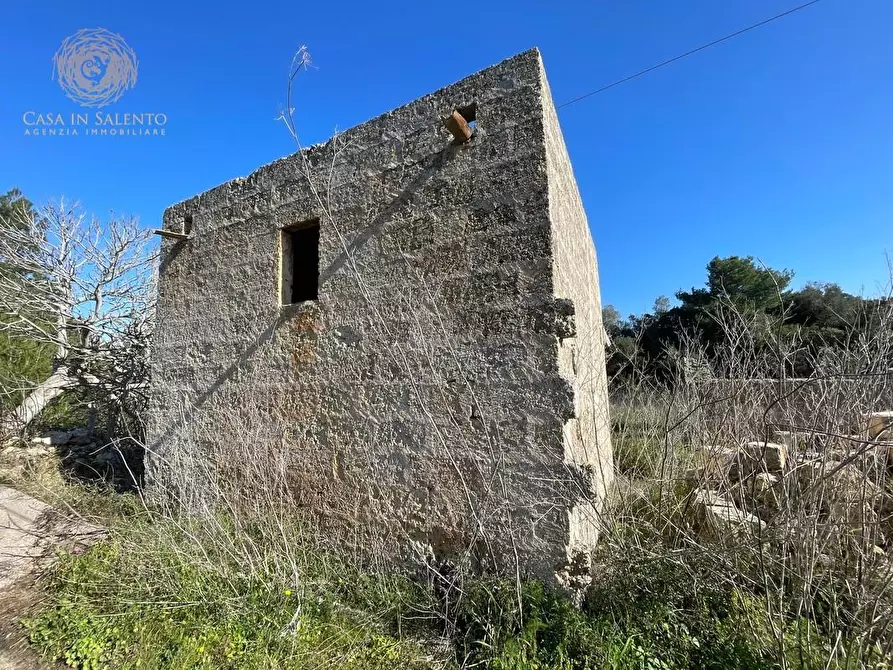 Immagine 37 di Attività artigianale in vendita  a Presicce