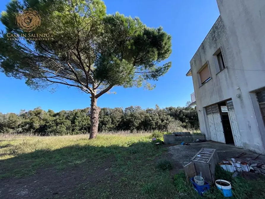 Immagine 18 di Attività artigianale in vendita  a Presicce