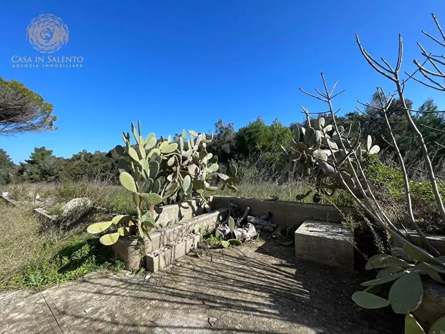 Immagine 24 di Attività artigianale in vendita  a Presicce