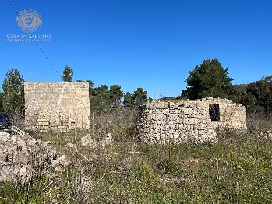 Immagine 28 di Attività artigianale in vendita  a Presicce